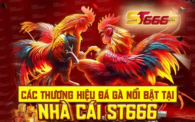 Thương hiệu đá gà nổi bật tại ST666 mobi