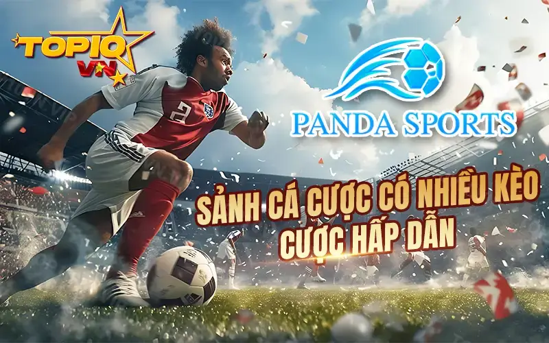 Sảnh Panda Sport có nhiều kèo cược đỉnh nhất 2024