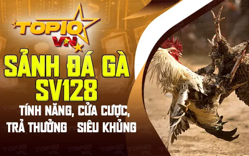 Sảnh đá gà SV128 